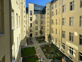 Hauptstadt-Hundeglück: 3 Tage Berliner Erkundung