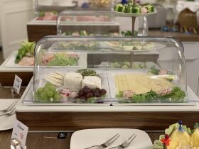 Hauptstadt-Hundeglück: 3 Tage Berliner Erkundung