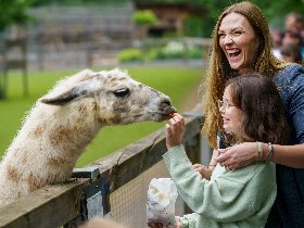 Kurzurlaub in Salzburg inkl. Eintritt in den Zoo | 2 Tage