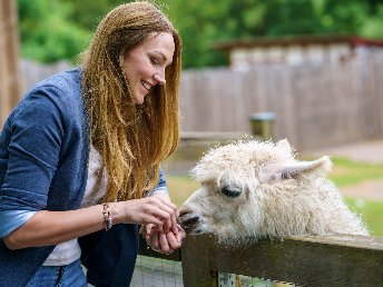 Kurzurlaub in Salzburg inkl. Eintritt in den Zoo | 6 Tage