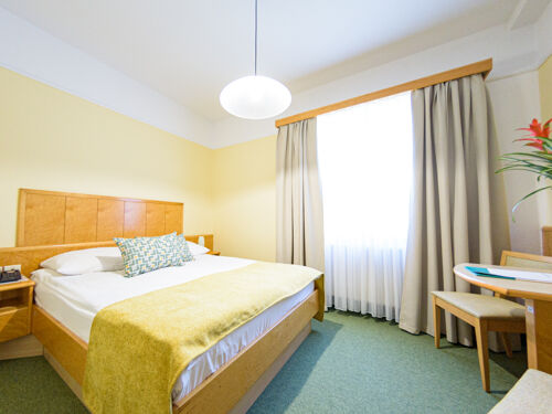 Hotel Toplice - Terme Krka
