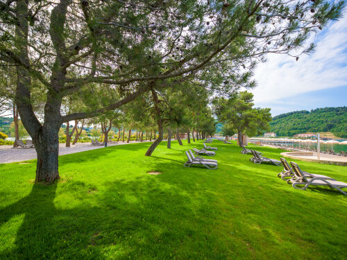 Hotel Laguna Strunjan 4 Sterne - Terme Krka