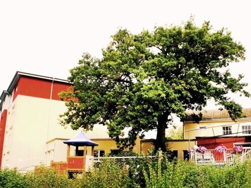 Hotel Weserschiffchen 