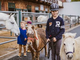 All Inklusive Wellnessauszeit für die ganze Familie im Reiters Finest Family Bad Tatzmannsdorf |
