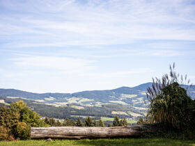 TOP-Wellness-Schnäppchen - adults only | 1 Nacht