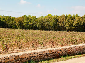 Entspannungsurlaub - Zur Ruhe kommen in der Umgebung von Castel del Monte | 2 Nächte