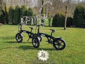 Buongiorno Bella Italia - Traumhafte Tage in der Toskana | 2 Nächte