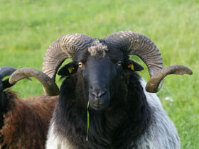 5 Tage Kurzurlaub mit Fahrrad oder Kanutour