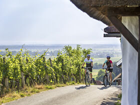 Luxuriöse Golf-Auszeit im slowenischen Moravske Toplice inkl. Halbpension | 2 Nächte