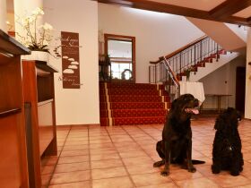 Romantik pur zwischen Schwarzwald & Bodensee