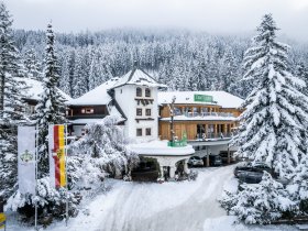 Ski & Wellness  – Winterzauber im Trattlerhof| 3 Nächte