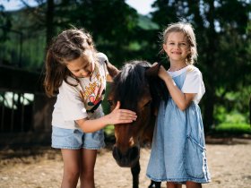 Familienzeit inmitten der Kärntner Nockberge inkl. Kärnten Card | 6 Nächte