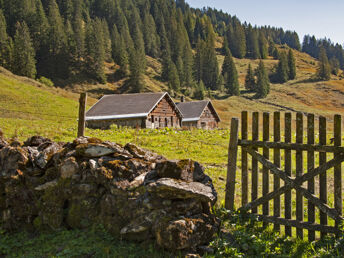 Bild 11 von 28