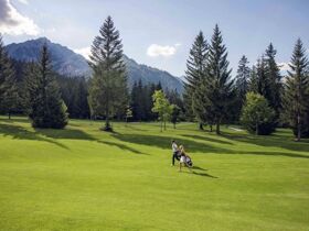 Sommerspecial inklusive 