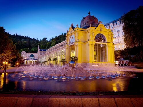 Spa &amp; Wellness Hotel Olympia 