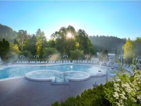 Romantikurlaub in der slowenischen Therme Topolšica inkl. Massage & Halbpension | 2 Nächte