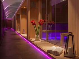 Entspannende Auszeit mit Ihrem Vierbeiner in Slowenien inkl. Halbpension | 2 Nächte