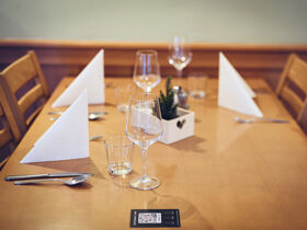 Wellness & Stadt - Urlaub in Slowenien inkl. Halbpension und Gondelfahrt nach Maribor | 2 Nächte