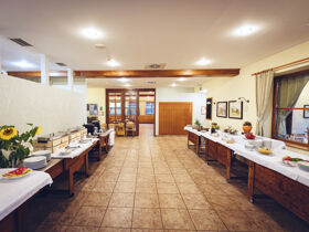 Wellness & Stadt - Urlaub in Slowenien inkl. Halbpension und Gondelfahrt nach Maribor | 2 Nächte