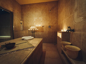 Wellness & Stadt - Urlaub in Slowenien inkl. Halbpension und Gondelfahrt nach Maribor | 2 Nächte