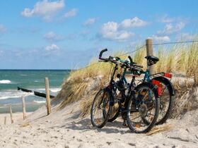 3 Tage Wohlfühlzeit an der Nordsee direkt am Elberadweg  