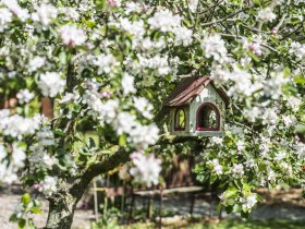 2 Tage Romantischer Urlaub an der Nordsee direkt am Elberadweg