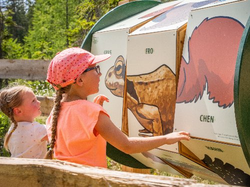 Familienurlaub in den Bergen - mit der Sommercard mehr erleben / 4 Nächte 