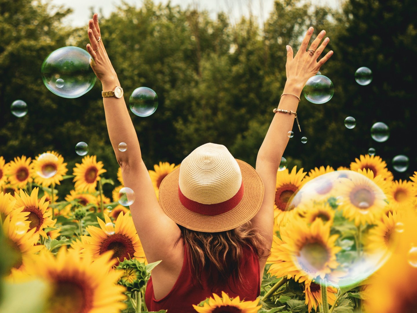 Rennsteiger Sommerschnäppchen - 5 Tage inkl. HP plus