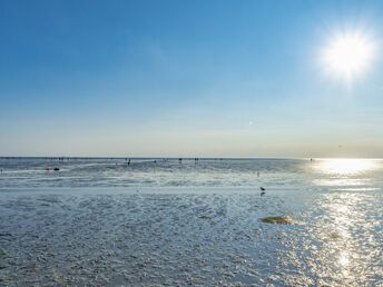 Bild 25 von 30