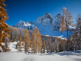 Erholsame Tage in den Dolomiten – Entspannung und Naturgenuss in Venetien | 5 Nächte