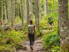 Bielefeld erleben im Herzen des Teutoburger Waldes | 3 Tage