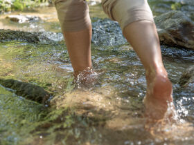 Entdeckertage inkl. Vollpension in OÖ ersten Wanderdorf | 3 Nächte 