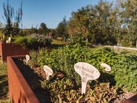 Entdeckertage inkl. Vollpension in OÖ ersten Wanderdorf | 3 Nächte 
