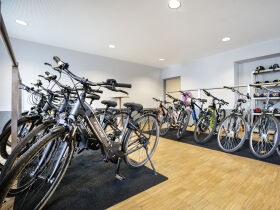 Aktivurlaub im Nationalpark Thayatal | 2 Nächte