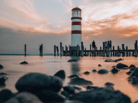 Kurzurlaub im modernen Mobile Home direkt am Neusiedler See | 3 Nächte