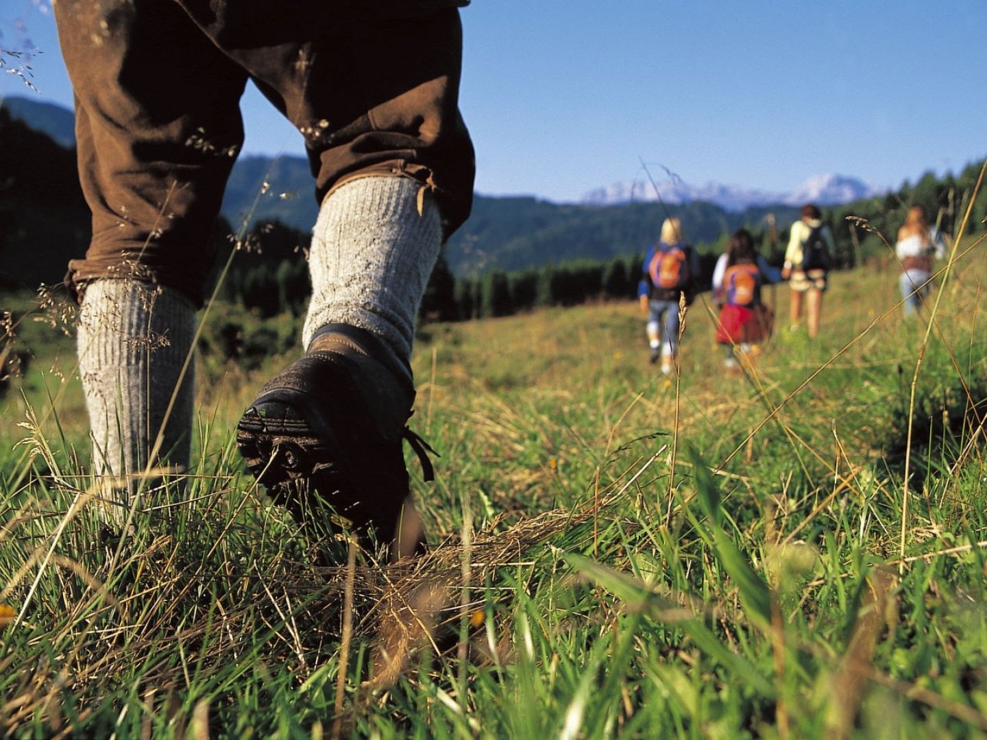 Rauf auf den Berg, raus aus dem Alltag – Wanderzeit beginnt I 4 Nächte Hochsteiermark