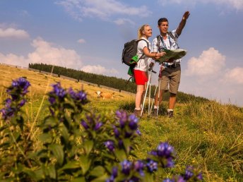 Urlaub mit Aussicht: Sommerspecial in der Hochsteiermark I 2 Nächte