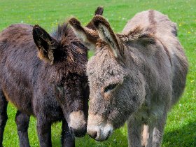 Special - All Inklusive Wellness- & Wander- Auszeit im Erzgebirge - 3 Tage   