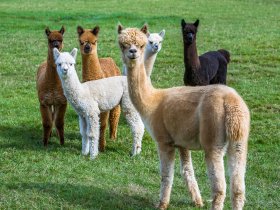 All Inklusive Wellness- & Wander- Auszeit im Erzgebirge - 7 Tage