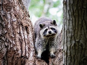 All Inklusive Wellness- & Wander- Auszeit im Erzgebirge - 7 Tage