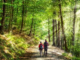 Special - All Inklusive Wellness- & Wander- Auszeit im Erzgebirge - 3 Tage   