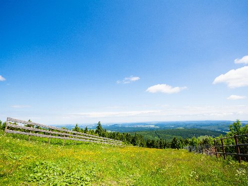Sommerspecial -  4 Tage in Altenberg all inclusive light!  
