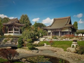 SPECIAL: Frühling & Sommer am Rheinufer - 2 Tage in Düsseldorf