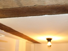 Auf zwei Rädern durch die Natur in Detmold und dem Teutoburger Wald