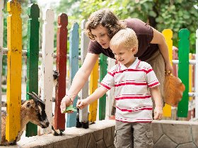 Familienangebot - Kelsterbacher Zoo-Abenteuer: Natur & Stadt vereint | 2 Tage