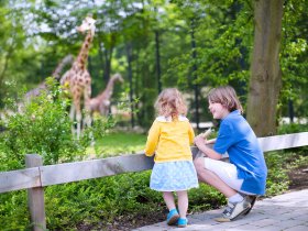 Familienangebot - Kelsterbacher Zoo-Abenteuer: Natur & Stadt vereint | 3 Tage