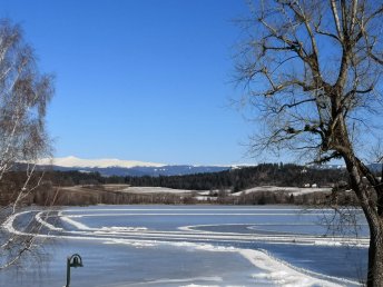 Bild 15 von 20