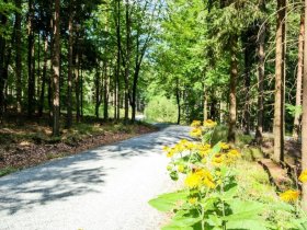 4 Tage im Vogtland im Staatsbad Bad Elster - Genuss inkl. Sektfrühstück 