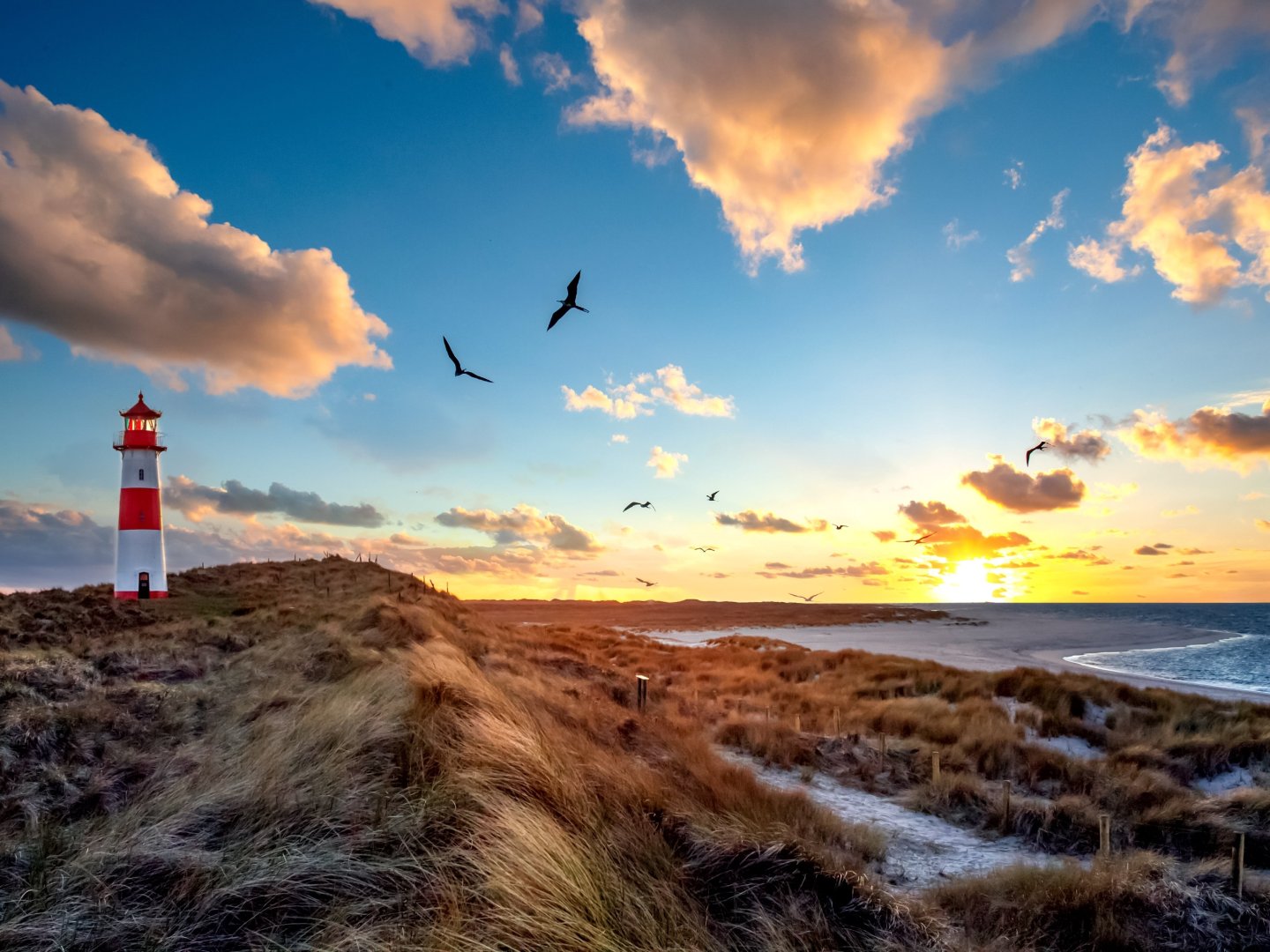 Meeresauszeit im Strandhotel auf Sylt - 3 Tage an der Nordsee 