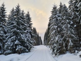 3 Tage Vogtländer Winterschnäppchen inkl. Halbpension plus